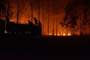 Wildfires.jpg