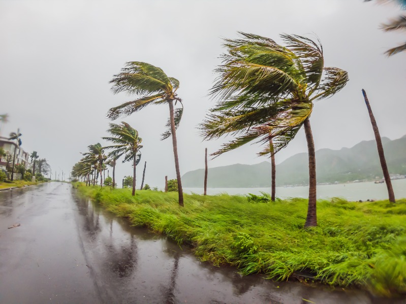hurricane.jpg hurricane.jpg