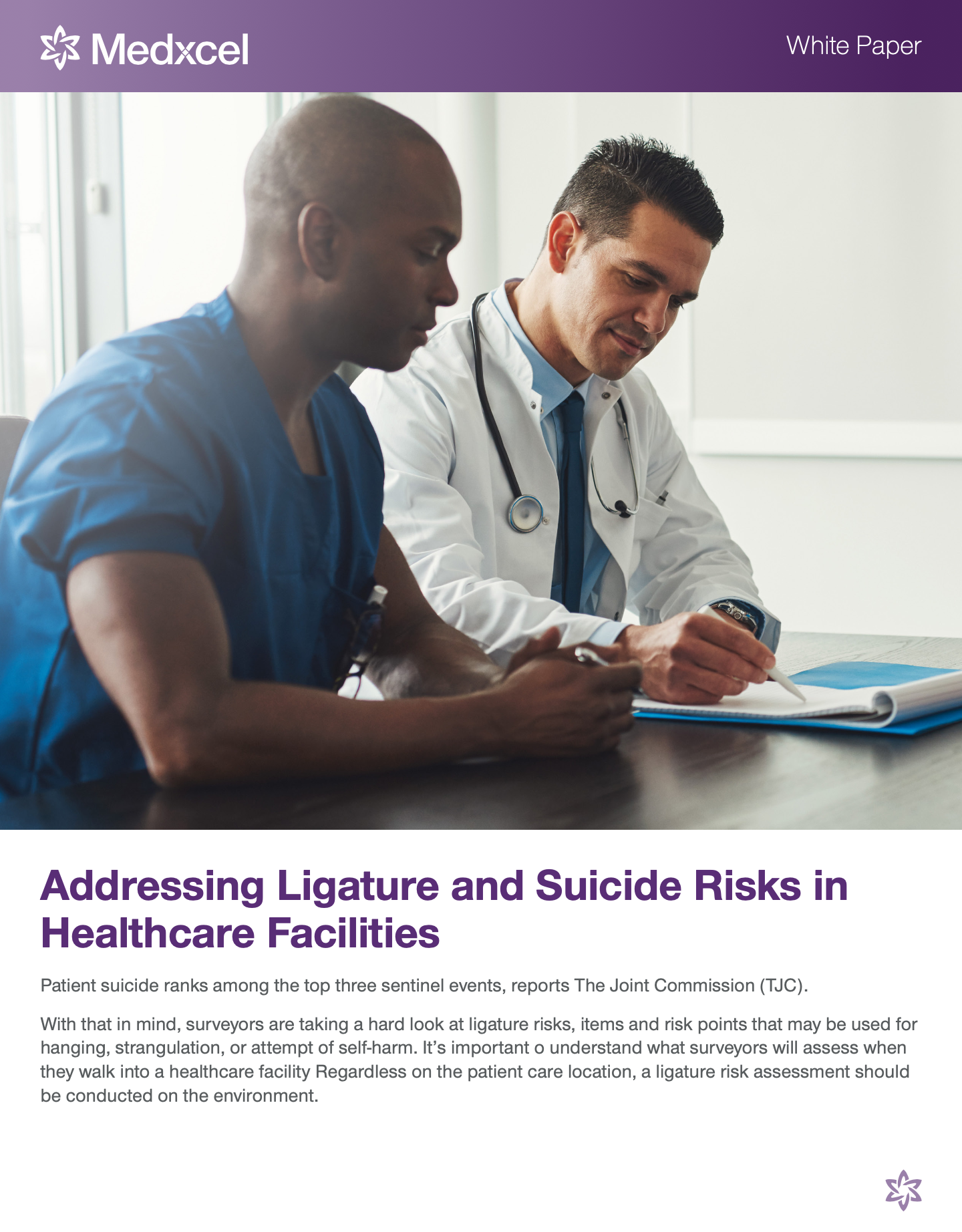Download Addressing Ligature and Suicide Risks in Healthcare Facilities Whitepaper
